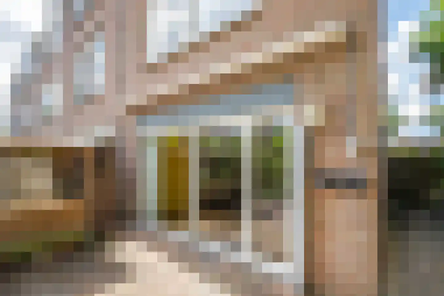 Korstmos 37 Nieuwerkerk aan den IJssel thumbnail 57
