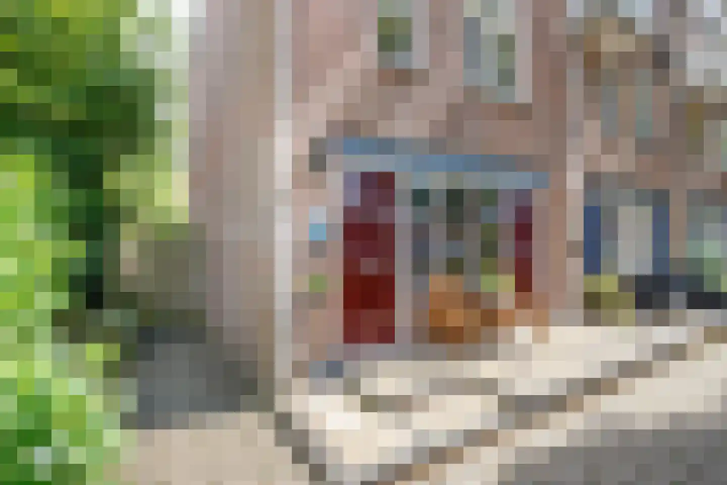 Korstmos 37 Nieuwerkerk aan den IJssel thumbnail 6