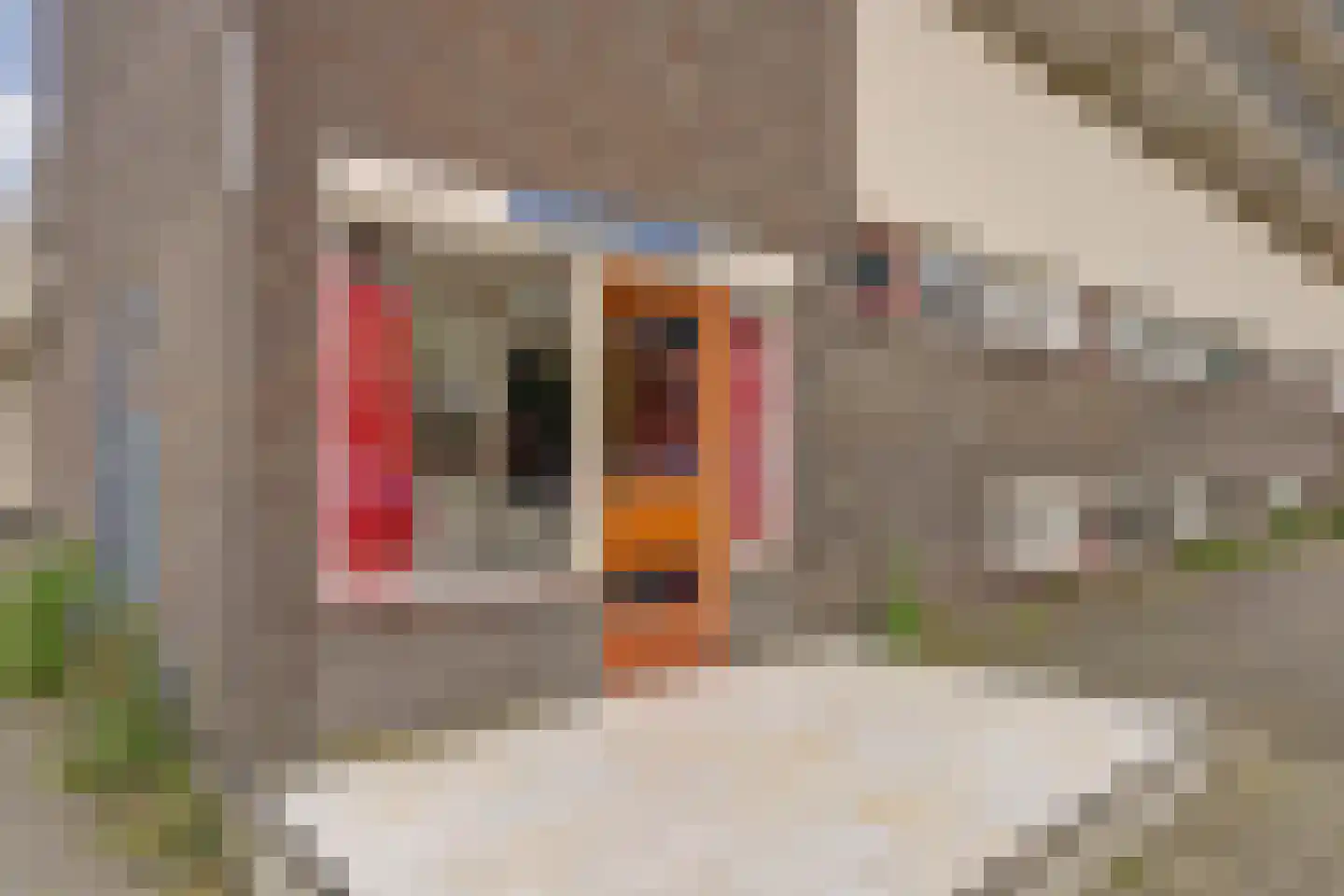 Kort-Ambachtlaan 205 Zwijndrecht thumbnail 6