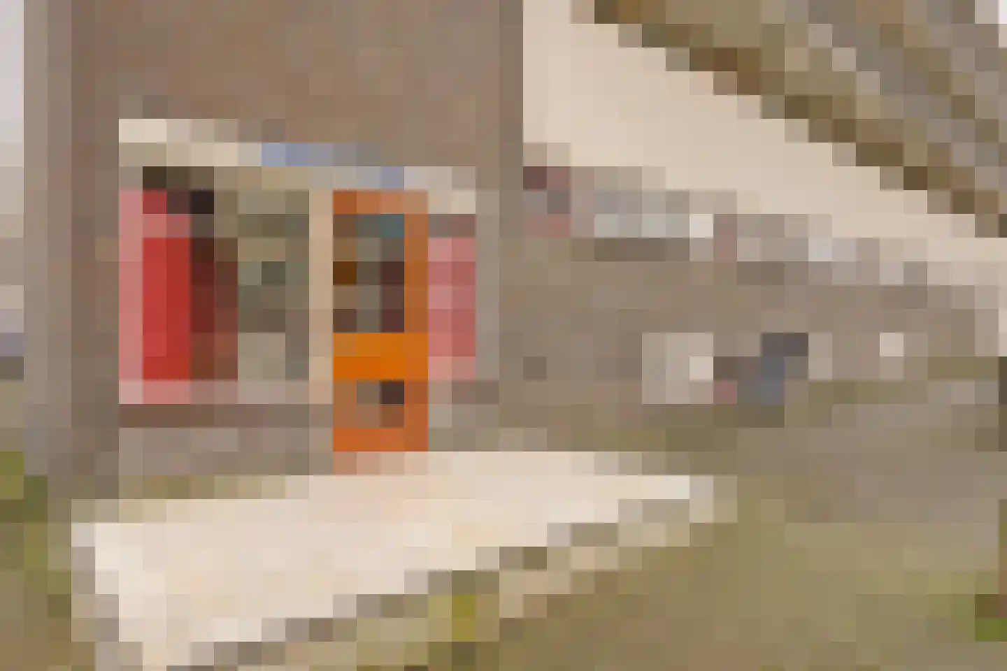 Kort-Ambachtlaan 217 Zwijndrecht thumbnail 8