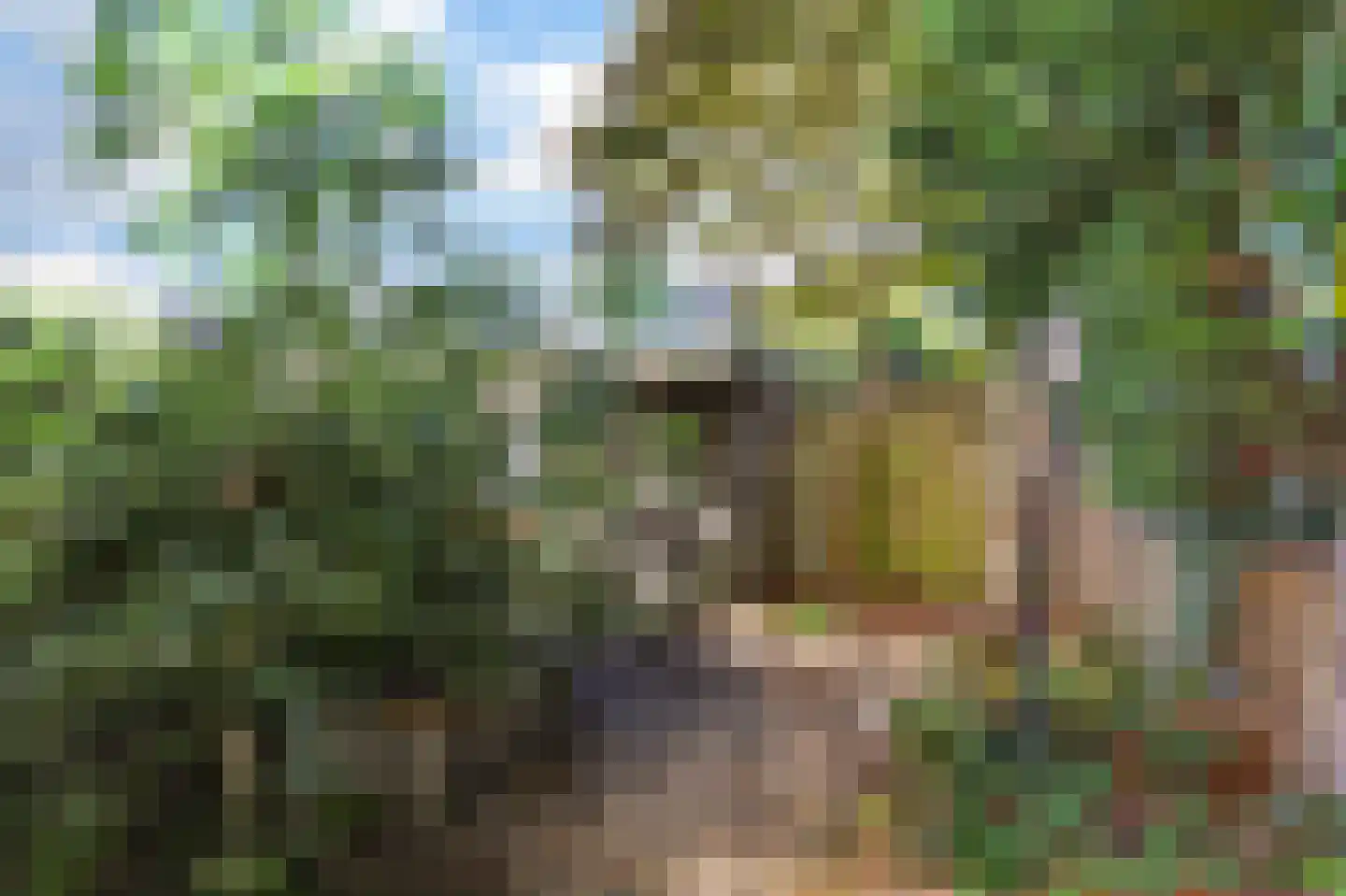 Kort-Ambachtlaan 26 K Zwijndrecht thumbnail 35