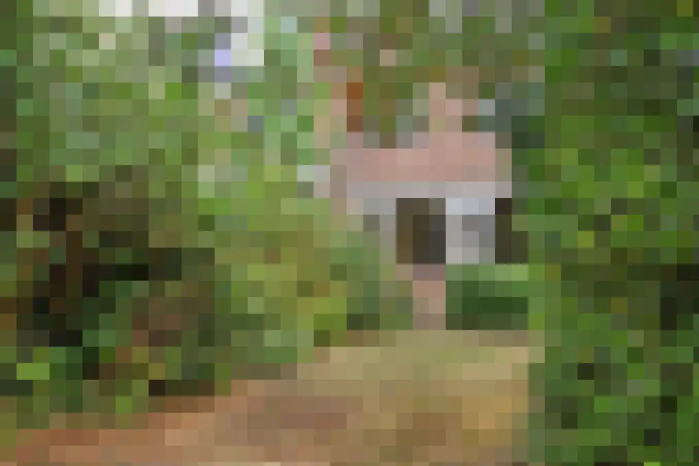 Kort-Ambachtlaan 40 Zwijndrecht thumbnail 30
