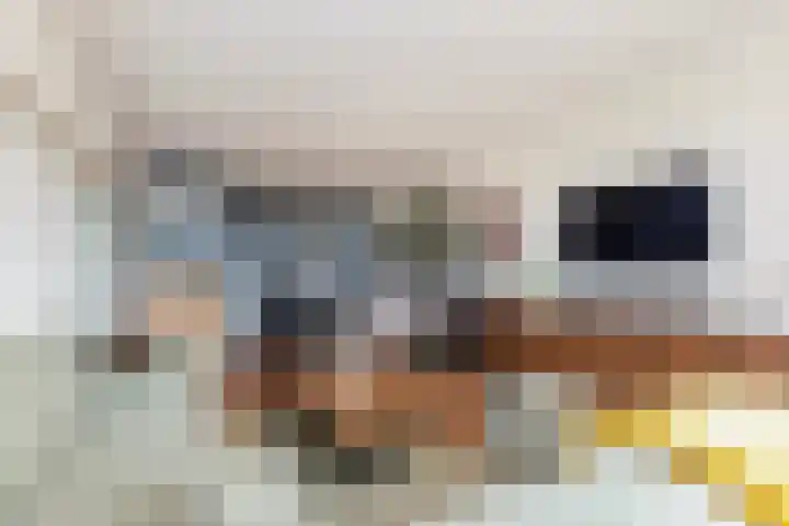 Kort-Ambachtlaan 85 Zwijndrecht thumbnail 8