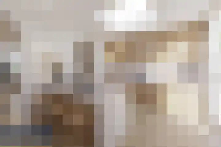 Kortakker 2 Boxtel thumbnail 13