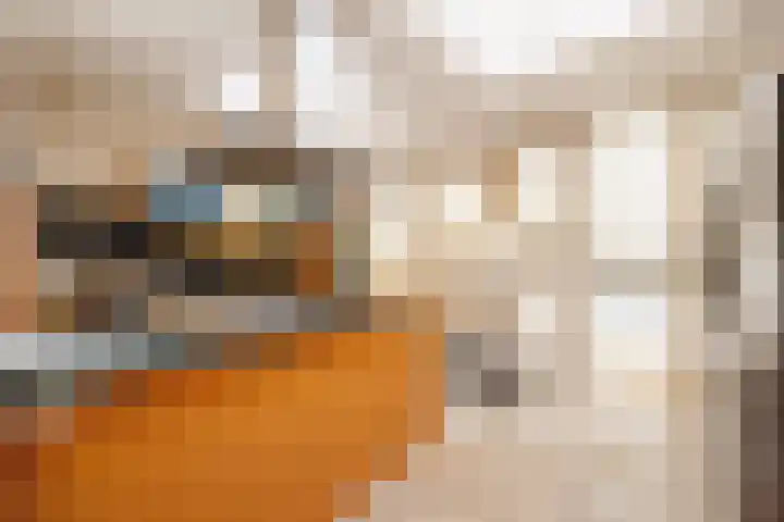 Kortakker 2 Boxtel thumbnail 16