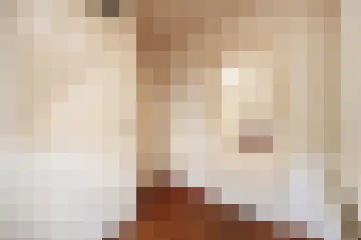 Kortakker 2 Boxtel thumbnail 18