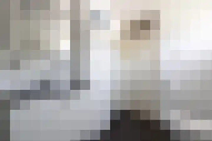 Kortakker 2 Boxtel thumbnail 28