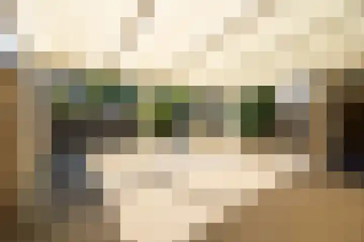Kortakker 2 Boxtel thumbnail 31