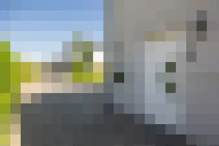Kortakker 2 Boxtel thumbnail 40
