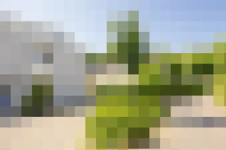 Kortakker 2 Boxtel thumbnail 43