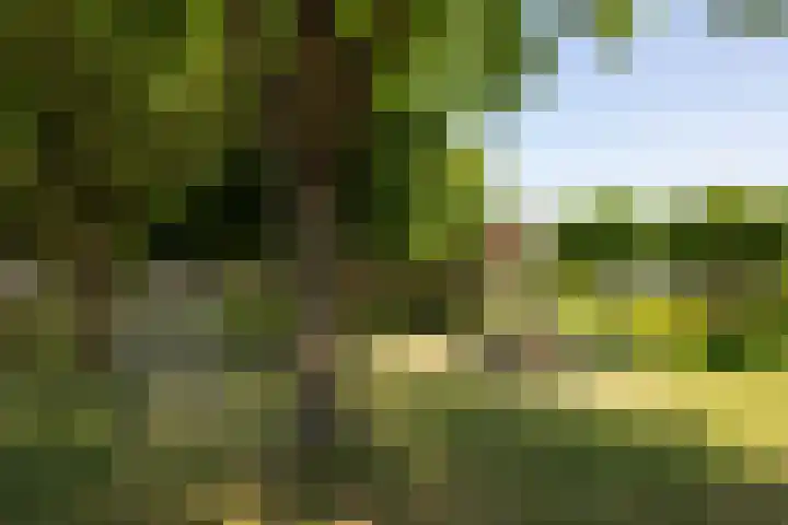 Kortakker 2 Boxtel thumbnail 46