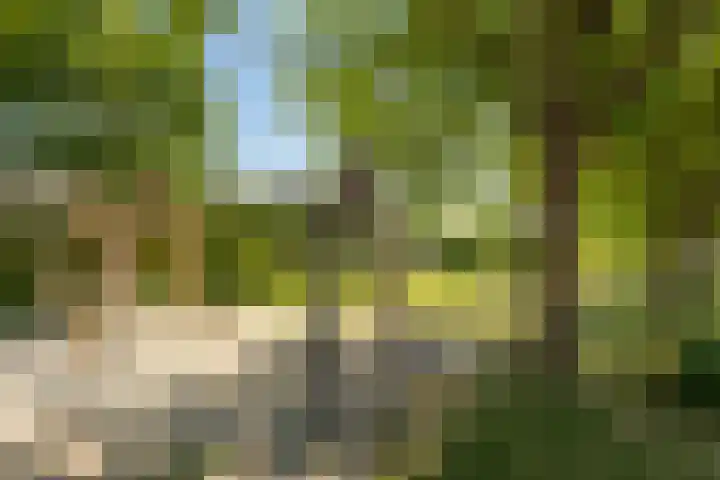 Kortakker 2 Boxtel thumbnail 47