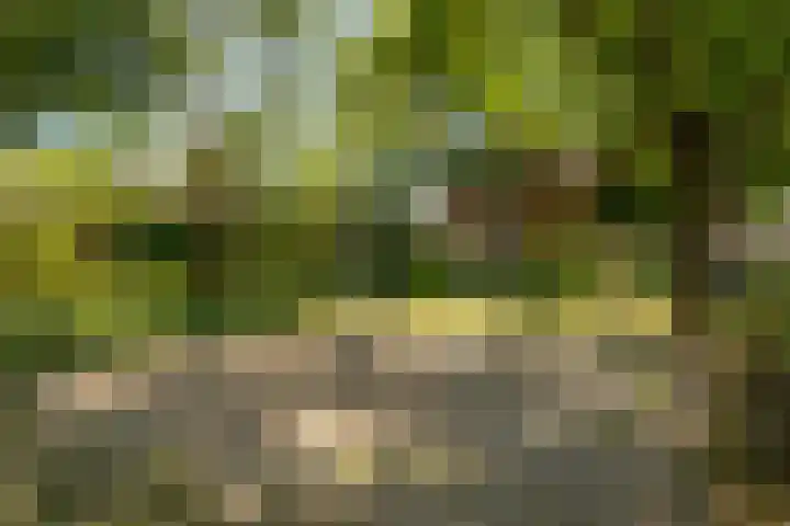 Kortakker 2 Boxtel thumbnail 48