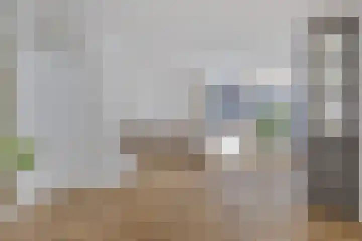 Kortbree 5 Tynaarlo thumbnail 12
