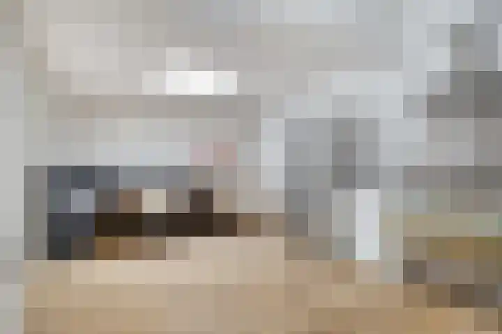 Kortbree 5 Tynaarlo thumbnail 14