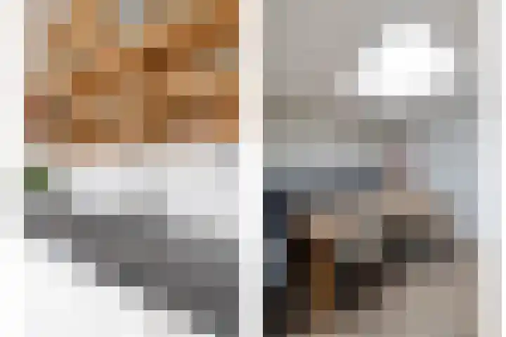Kortbree 5 Tynaarlo thumbnail 17