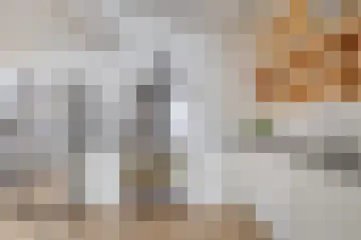 Kortbree 5 Tynaarlo thumbnail 19