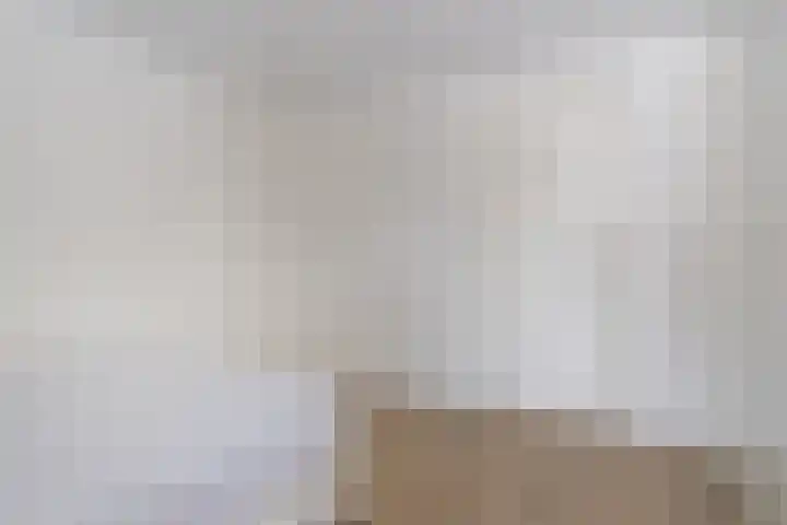 Kortbree 5 Tynaarlo thumbnail 21