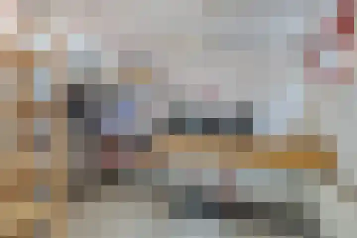 Kortbree 5 Tynaarlo thumbnail 23