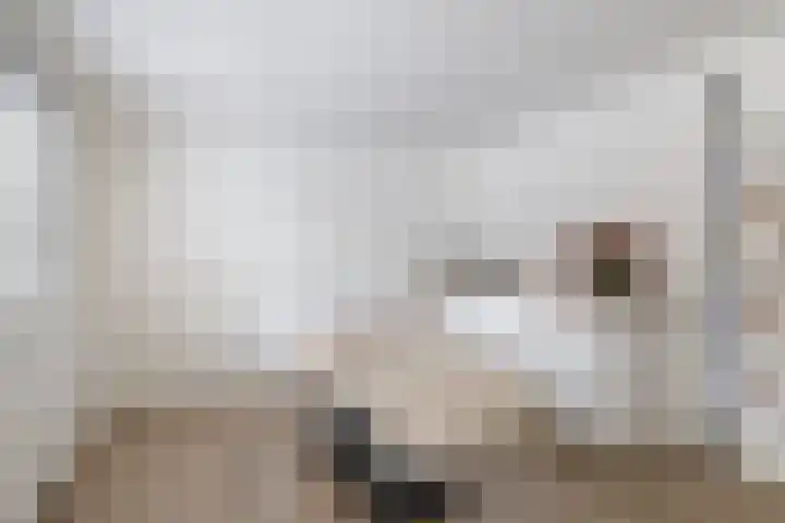 Kortbree 5 Tynaarlo thumbnail 25