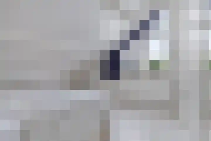 Kortbree 5 Tynaarlo thumbnail 29