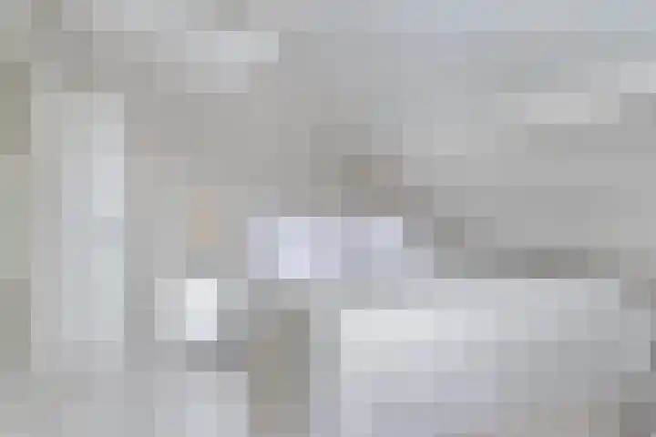 Kortbree 5 Tynaarlo thumbnail 30
