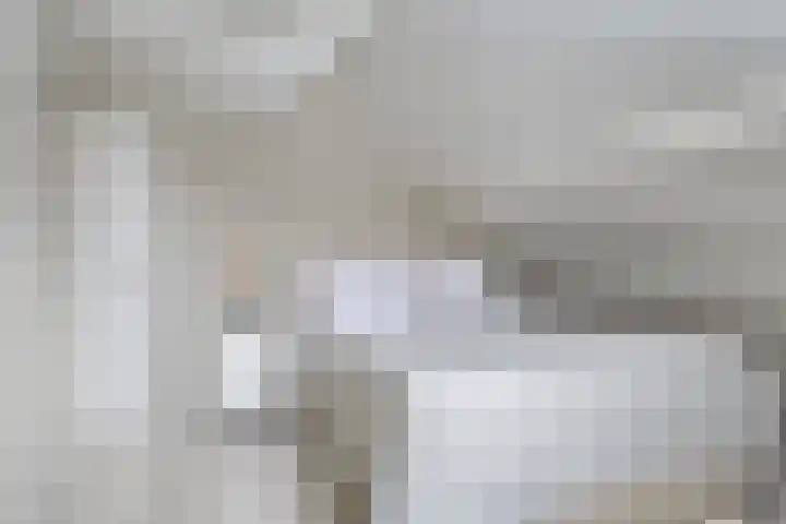 Kortbree 5 Tynaarlo thumbnail 31