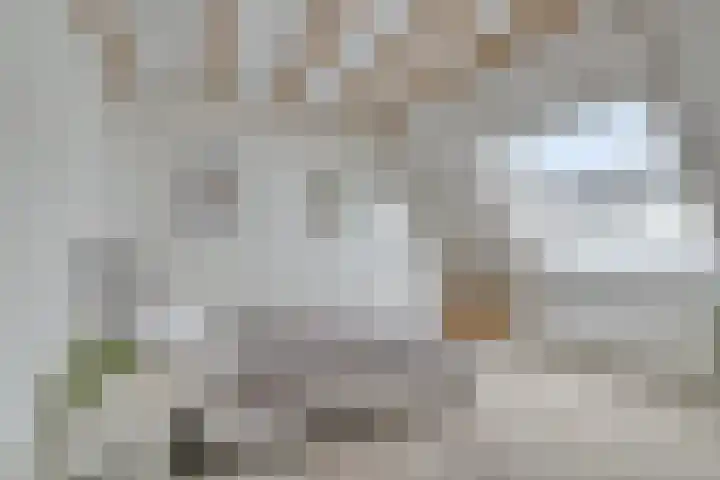 Kortbree 5 Tynaarlo thumbnail 35
