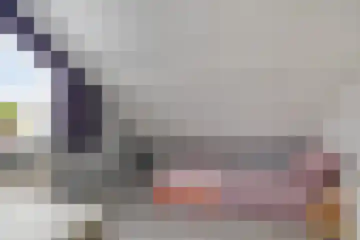Kortbree 5 Tynaarlo thumbnail 37