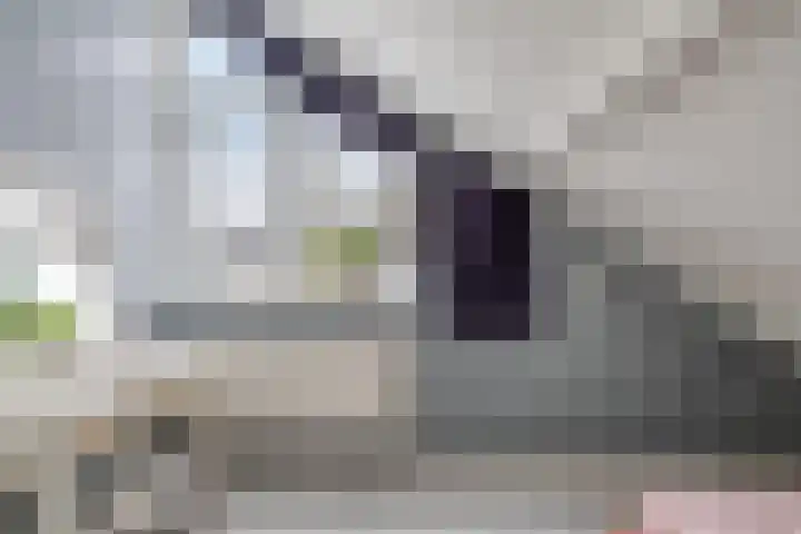 Kortbree 5 Tynaarlo thumbnail 38