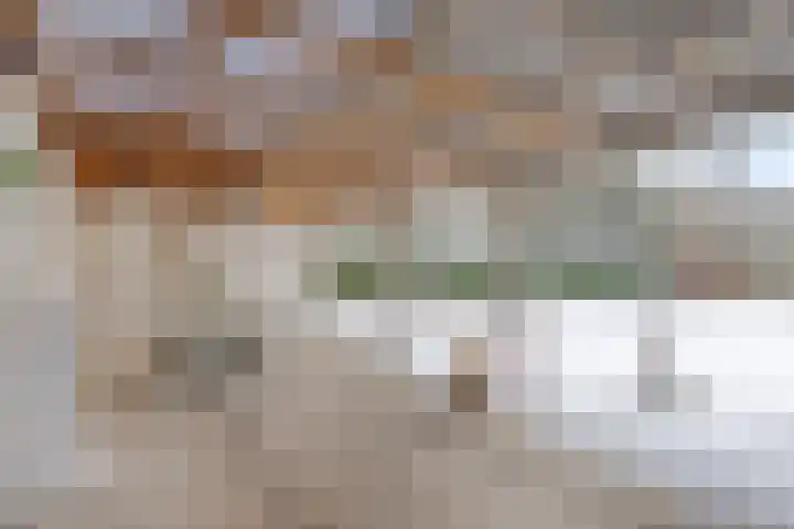 Kortbree 5 Tynaarlo thumbnail 39
