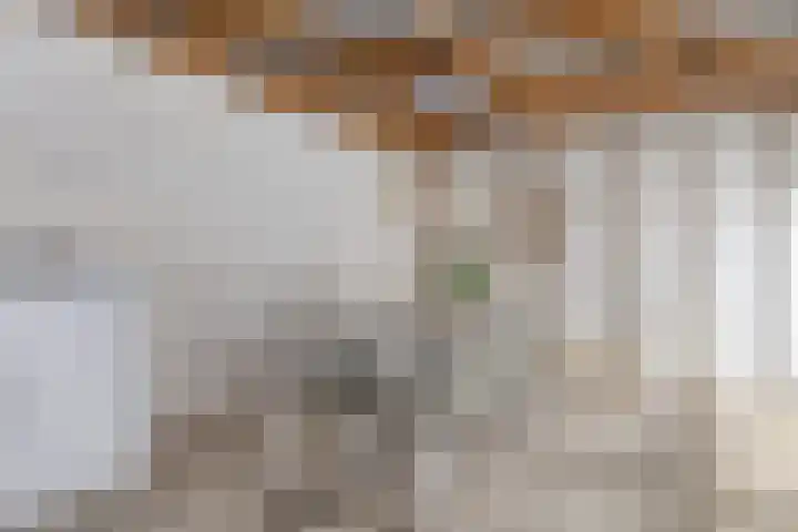 Kortbree 5 Tynaarlo thumbnail 41