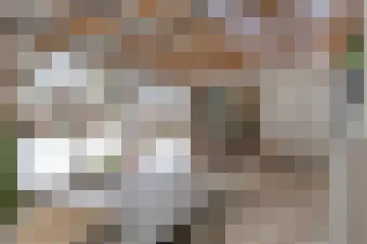 Kortbree 5 Tynaarlo thumbnail 42