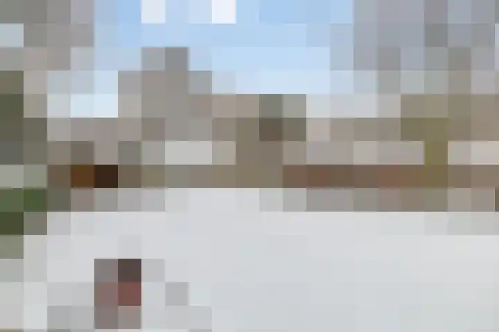 Kortbree 5 Tynaarlo thumbnail 43