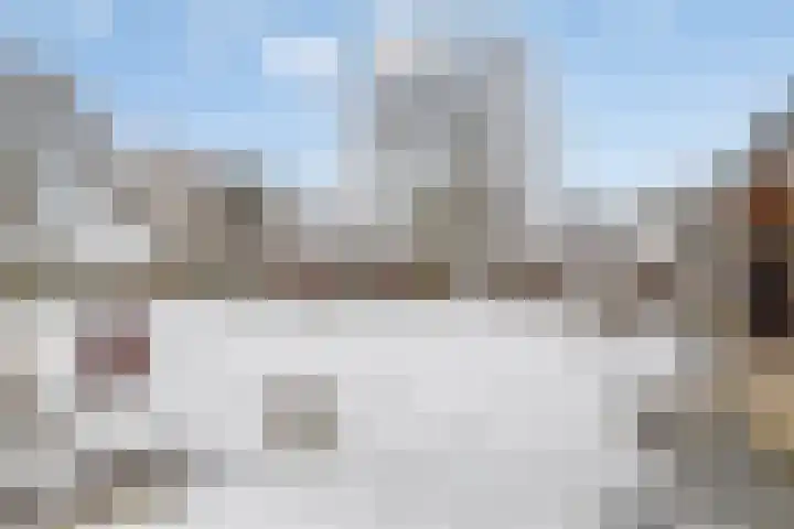 Kortbree 5 Tynaarlo thumbnail 44