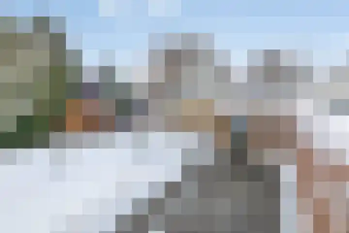 Kortbree 5 Tynaarlo thumbnail 56