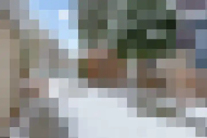 Kortbree 5 Tynaarlo thumbnail 60