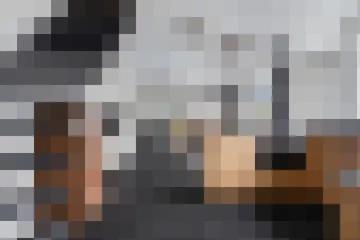 Korte Achterweg 1 Oosterland thumbnail 10