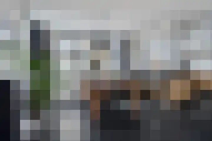 Korte Achterweg 1 Oosterland thumbnail 16