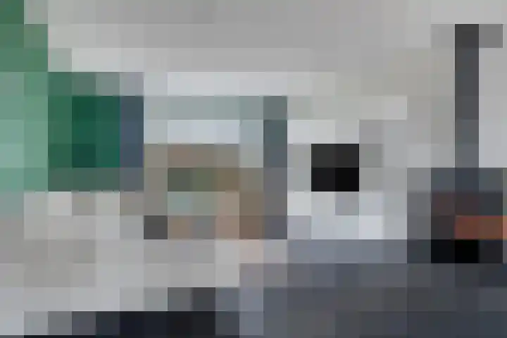 Korte Achterweg 1 Oosterland thumbnail 17