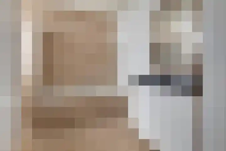 Korte Achterweg 1 Oosterland thumbnail 20
