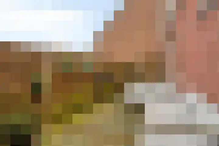 Korte Achterweg 1 Oosterland thumbnail 29
