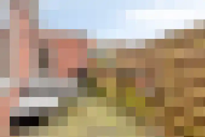 Korte Achterweg 1 Oosterland thumbnail 30