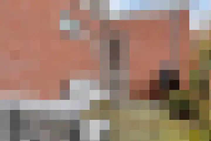 Korte Achterweg 1 Oosterland thumbnail 31