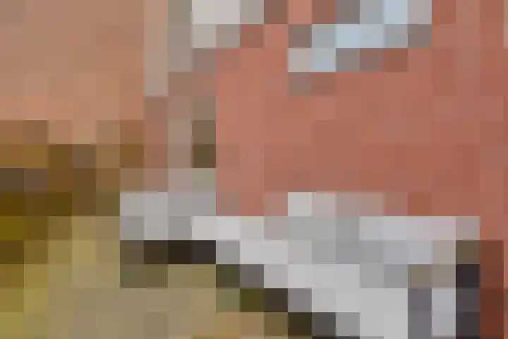 Korte Achterweg 1 Oosterland thumbnail 32
