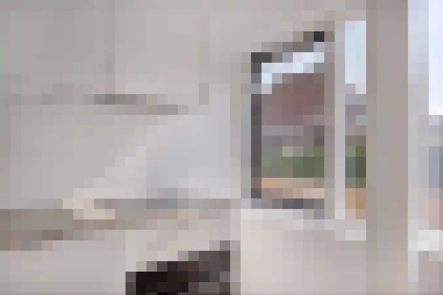 Korte Achterweg 11 b Lekkerkerk thumbnail 6