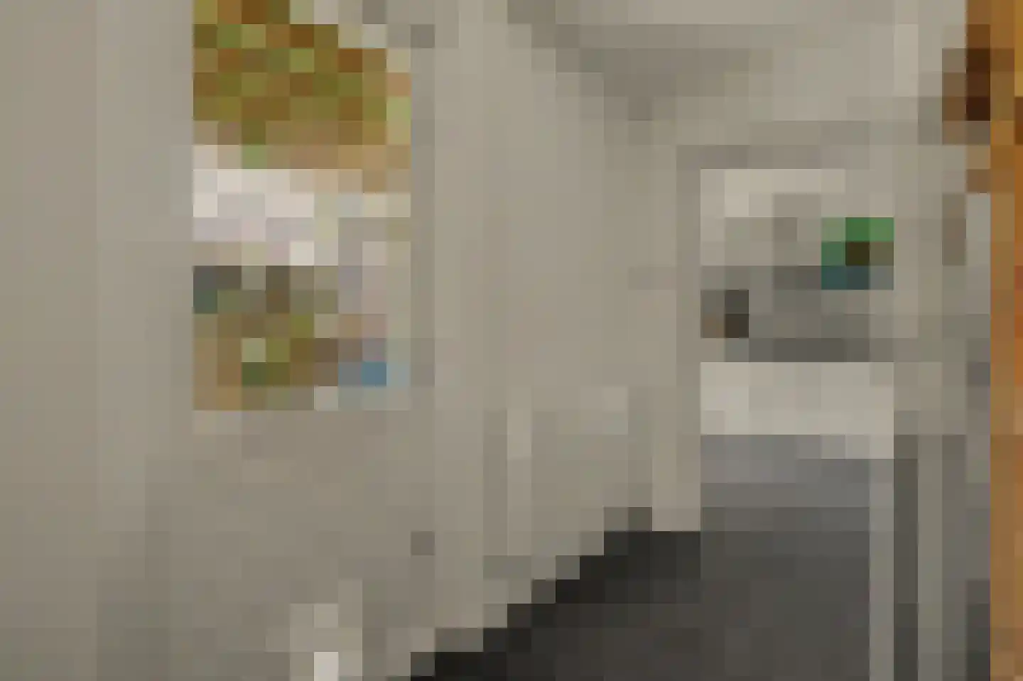 Korte Achterweg 8 's-Heer Arendskerke thumbnail 17