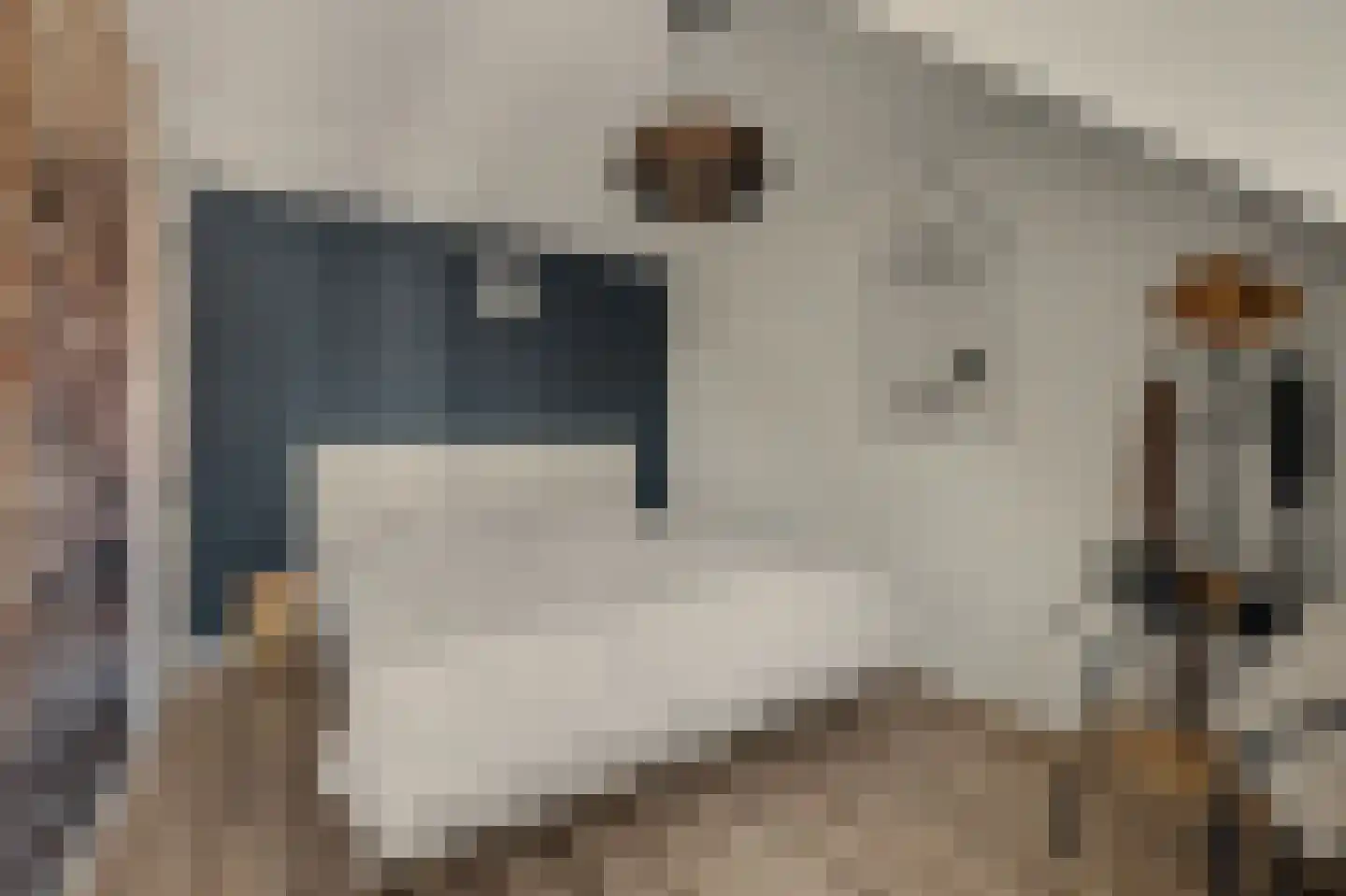 Korte Achterweg 8 's-Heer Arendskerke thumbnail 19