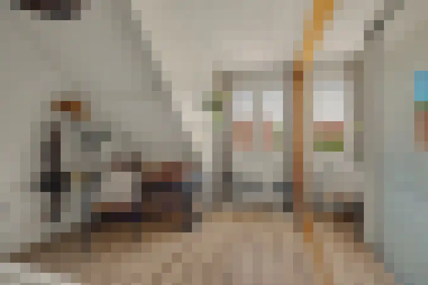 Korte Achterweg 8 's-Heer Arendskerke thumbnail 20