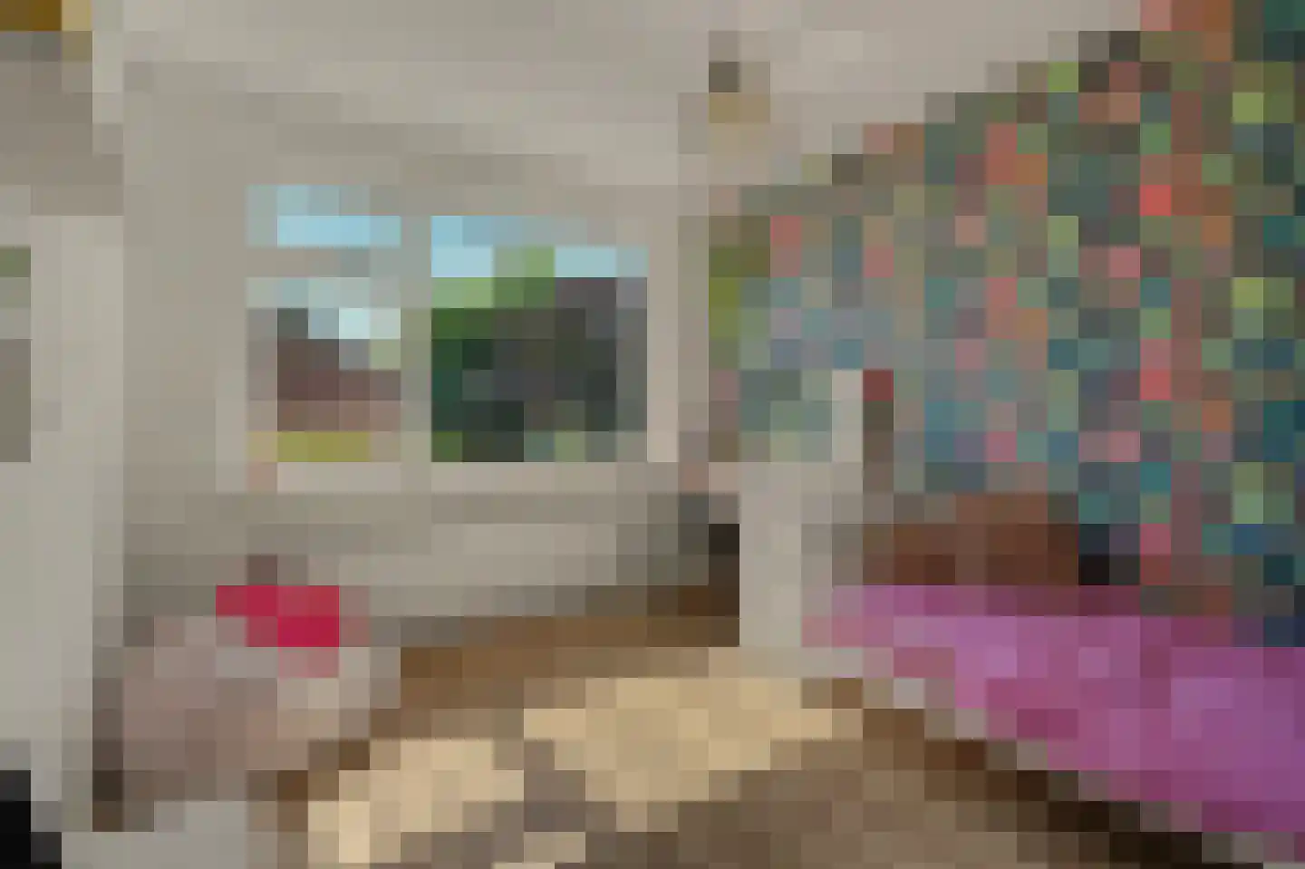 Korte Achterweg 8 's-Heer Arendskerke thumbnail 25